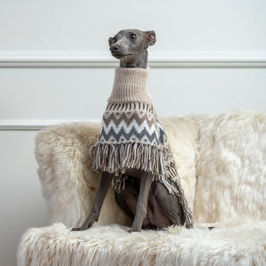 Alqo Wasi Alpaca Dog Poncho | Woolly Winter