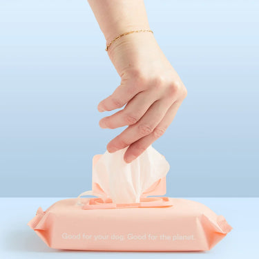Maxbone - Biodegradable Aloe Pet Wipes
