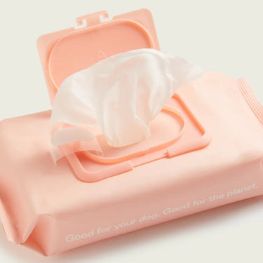 Maxbone - Biodegradable Aloe Pet Wipes