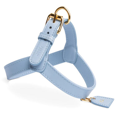 Perro Collection - Harness