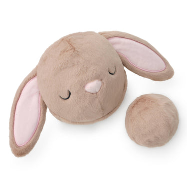 The Foggy Dog Bounce Dog Toy | Bunny
