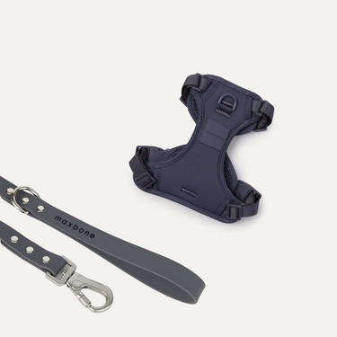 Maxbone - Hazel Leash Set