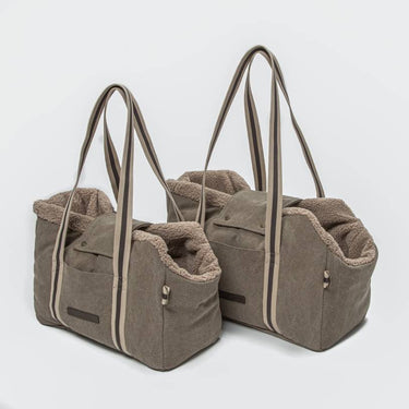 Cloud 7 Lucca Carrier