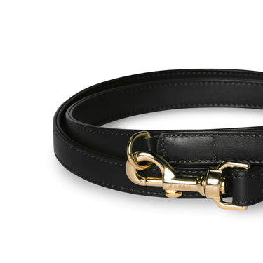 Perro Collection - Black Leather Lead