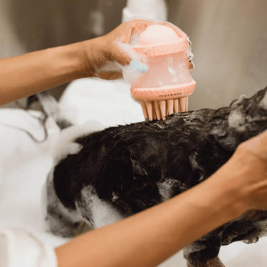 Maxbone - Deep Cleanse Shampoo Dispensing Brush