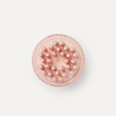 Maxbone Shampoo Dispensing Brush | Pink