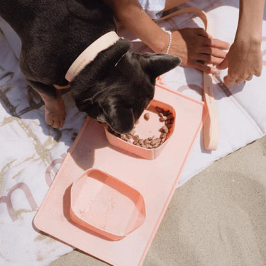 Maxbone GO! | Portable Bowls