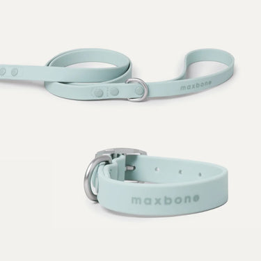 Maxbone Collar Set | Hazel