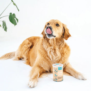 Gizzls Natural Dog Treats | Allergies and Immunity