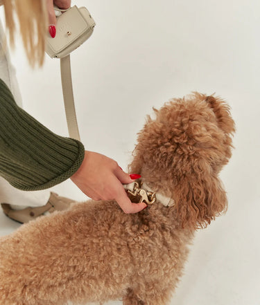 Cafide Vegan Leather Dog Lead | Cream