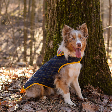 Nina Waterproof Dog Coat
