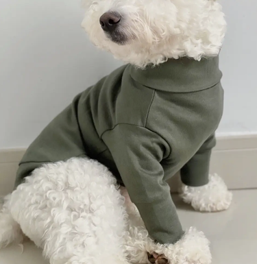 Colette et Gastón Jumper