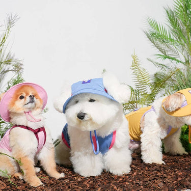 Puppy Gallery Cooling Vest | Blue