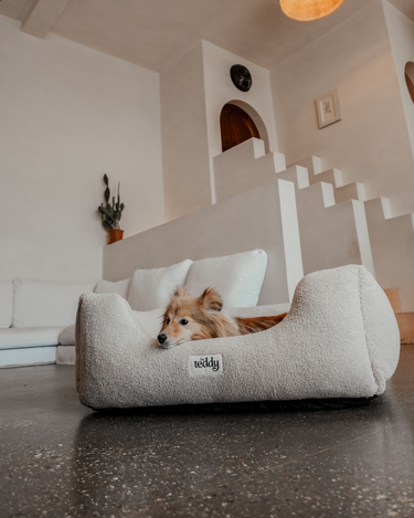 By Teddy - The Cosy Bed