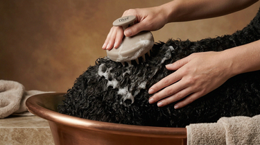 L’Floof Shampoo Massaging Brush | Taupe