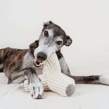 Lambwolf Collective - BREUER//ENRICHMENT DOG TOY