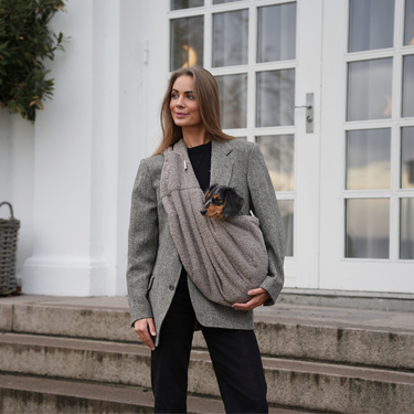 Staey Puppy Carrier | Teddy