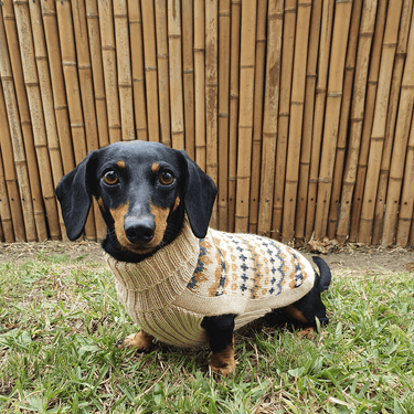 Alqo Wasi Alpaca Jumper | Golden Dreams