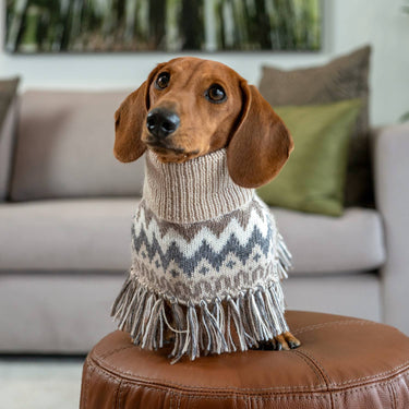 Alqo Wasi - Woolly Winter Alpaca Dog Poncho