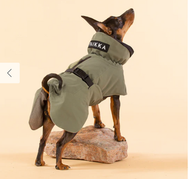 Paikka Visibility Winter Jacket Green