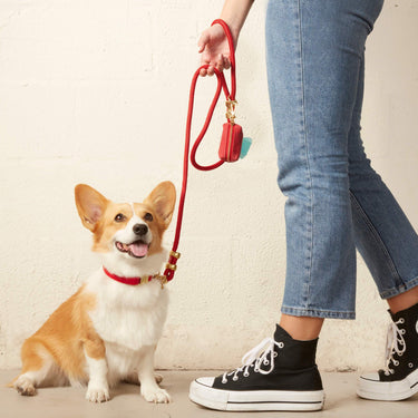 The Foggy Dog - Ruby Valentine's Day Dog Collar