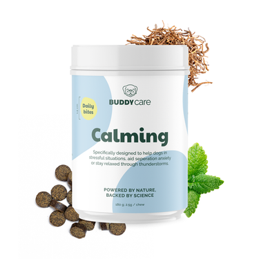 Buddy Pet Foods - Calming Chews