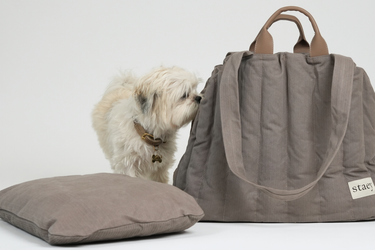 Staey Elva Dog Carrier Bag | Taupe