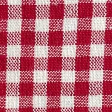 The Foggy Dog - Red Gingham Summer Dog Bandana