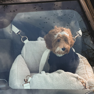 By Teddy - The Cosy Car Seat