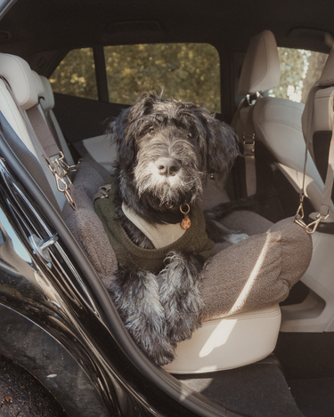 By Teddy Cosy Car Seat | XL