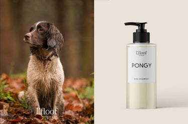 L’floof Natural Dog Shampoo | Orange & May Chang