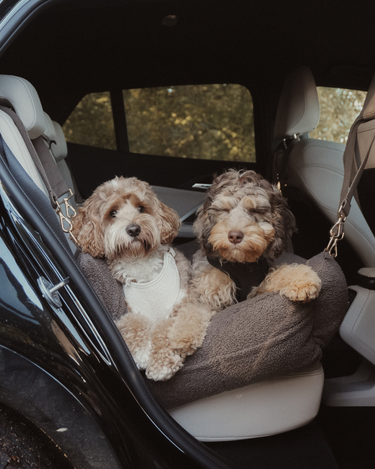 By Teddy Cosy Car Seat | XL