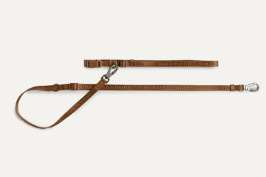 Maxbone Dog Leash | Hands Free