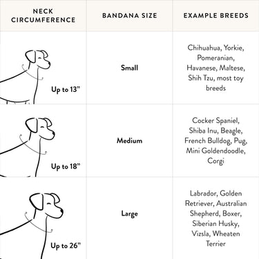 The Foggy Dog Bandana | Tennis Applique
