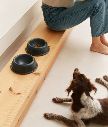 CAFIDE - Anthracite Ceramic Dog Feeder Bowl
