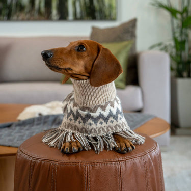 Alqo Wasi - Woolly Winter Alpaca Dog Poncho