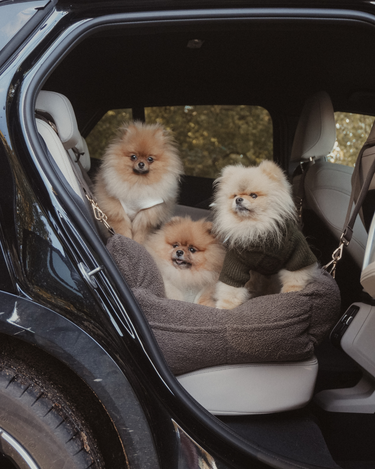 By Teddy Cosy Car Seat | XL