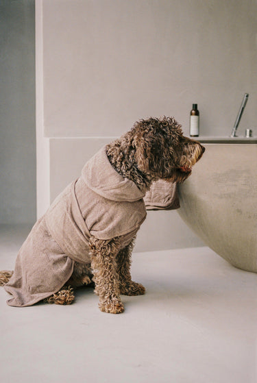 Cloud 7 Dog Bathrobe