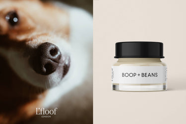 L'floof - Natural Nose & Paw Balm - 50ml - L'floof BOOP + BEANS