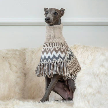 Alqo Wasi - Woolly Winter Alpaca Dog Poncho