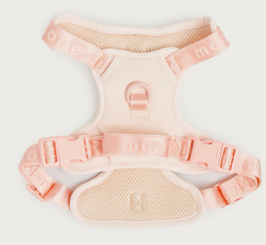 Maxbone  Harness | Easyfit
