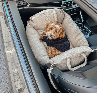 By Teddy - The Cosy Car Seat