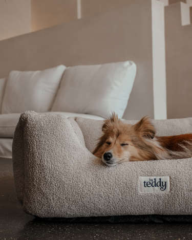 By Teddy - The Cosy Bed