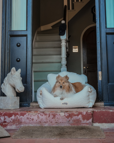 By Teddy - The Bouclé Car Seat