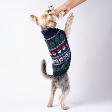 Alqo Wasi - Gnome Navy Blue Alpaca Dog Sweater