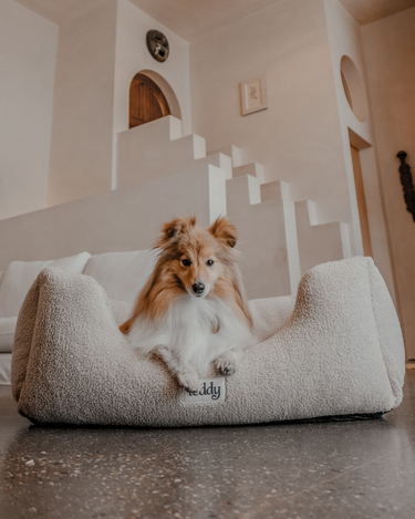 By Teddy - The Cosy Bed