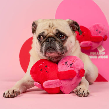 the furryfolks - Love Locked Nosework Toy