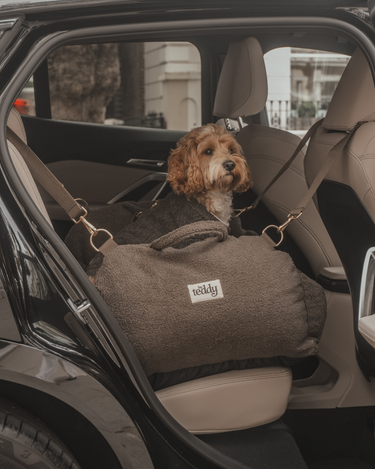 By Teddy The Cosy Car Seat | Chocolate