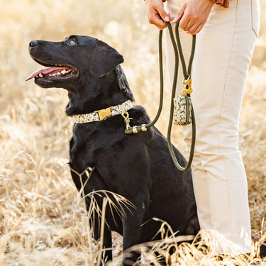 The Foggy Dog - Olive Marine Rope Dog Leash