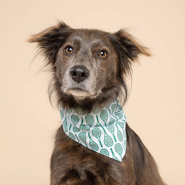 The Paws Dog Bandana | Tennis